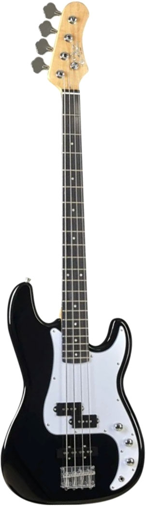 Бас-гитара Eko VPJ-280 Black