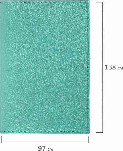 Обложка на паспорт Brauberg 238862 (мятный)