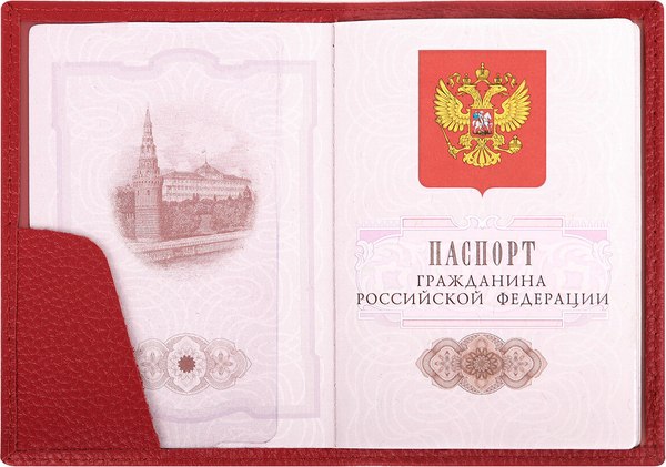Обложка на паспорт Brauberg 238865 (красный)