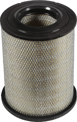 

Воздушный фильтр, 100005RX