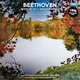 Виниловая пластинка Bellevue Publishing Beethoven - Symphony No.5 / Egmont Overture LP (5711053021571) - 