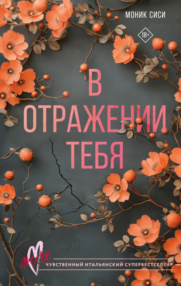 Художественная книга АСТ В отражении тебя, твердая обложка (Сиси Моник)