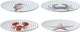 Набор тарелок Tkano Sea treasures Aquarium TK24-TW_PL0003 - 