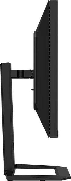 Монитор Digma Pro 27 Action S / DM27SP06 (черный)