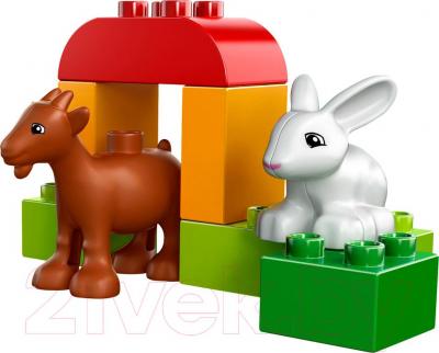 Конструктор Lego Duplo Животные на ферме (10522) - общий вид