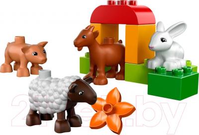 Конструктор Lego Duplo Животные на ферме (10522) - общий вид