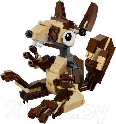 Конструктор Lego Creator Озорные животные (31019) - общий вид