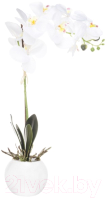 Искусственное растение 4living Орхидея 312546