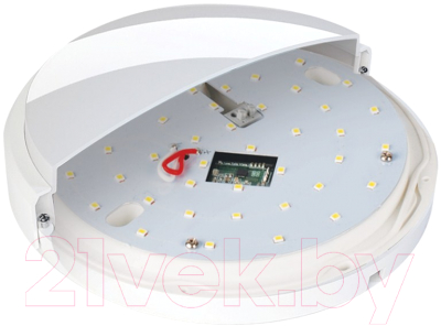 Потолочный светильник JAZZway PBH-PC2-RS SENSOR 8Вт 4000К IP65