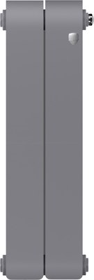 Радиатор биметаллический Royal Thermo Infinity 500 Silver Satin (2 секции) - 