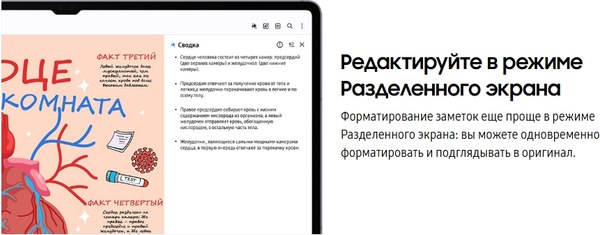 Планшет Samsung Galaxy Tab S10+ 5G 12GB/512GB / SM-X826BZAPCAU (графит)