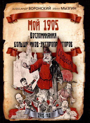 Книга Родина Мой 1905 (Воронский Александр 9785002227143) - 