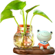 Ваза ILikeGift Sitting Frog гидропонная на подставке / 118P-013-02 (коричневый) - 