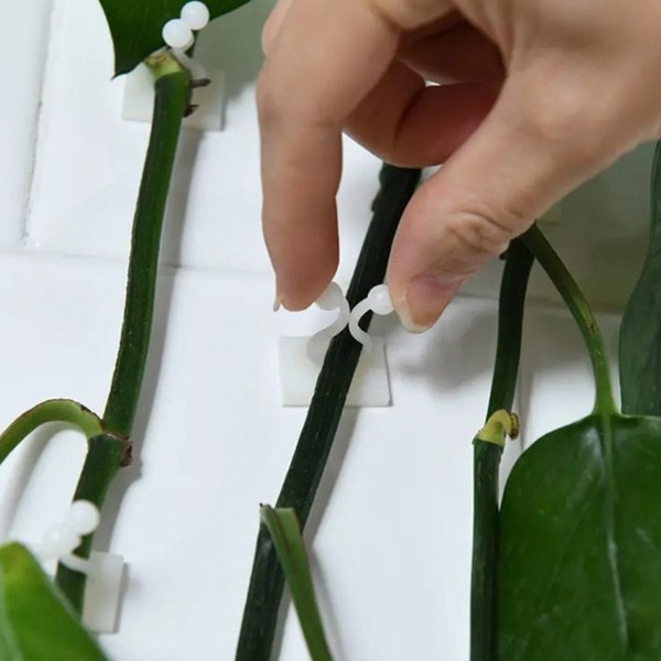 Набор зажимов садовых BOTANICA И проводов (20шт, белый)