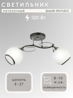 Потолочный светильник Aitin-Pro НПБ 02-2x60-101 / 6215/2 (черный/хром) -