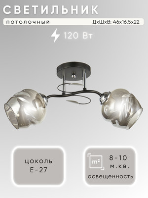 

Потолочный светильник, НПБ 02-2x60-101/ 6227/2