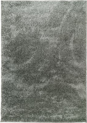 

Ковер, 13С55-ВИ sh 119