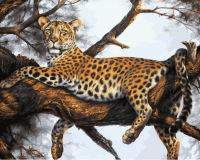 Картина по номерам БЕЛОСНЕЖКА Леопард на отдыхе / 170-AB - 