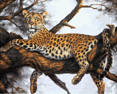 Картина по номерам БЕЛОСНЕЖКА Леопард на отдыхе / 170-AB