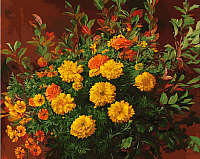 

Картина по номерам, Нарядные бархатцы / 177-AB