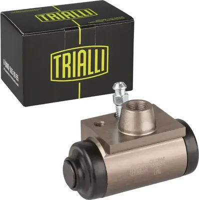 

Рабочий тормозной цилиндр, CF0949