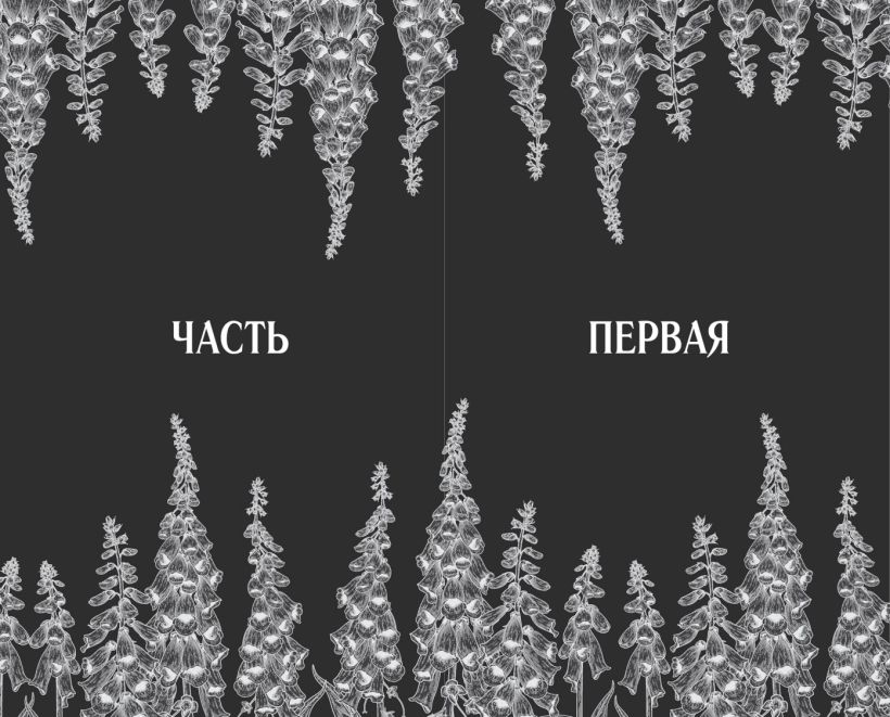 Художественная книга FreeDom Наперстянка, твердая обложка (Грейс Аделин) — фото 3