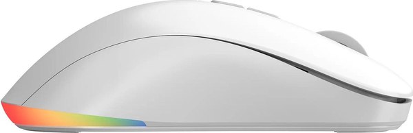 Мышь Acer OMR311 / ZL.MCECC.034 (белый)