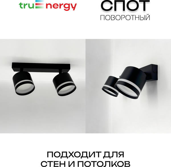 Спот Truenergy 21392