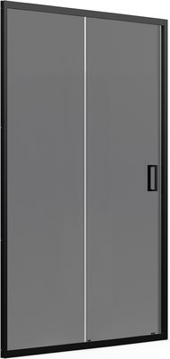 Душевая дверь Domani-Spa DoorCube 110x190 / DS04DCb110L0T00.Gt-Black - 