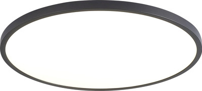 

Потолочный светильник, ST601.432.48