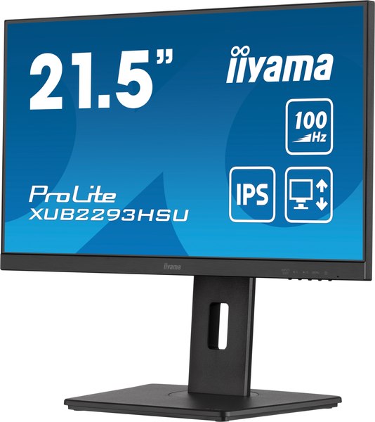 Монитор Iiyama ProLite XUB2293HSU-B6