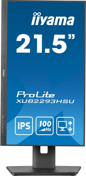 Монитор Iiyama ProLite XUB2293HSU-B6