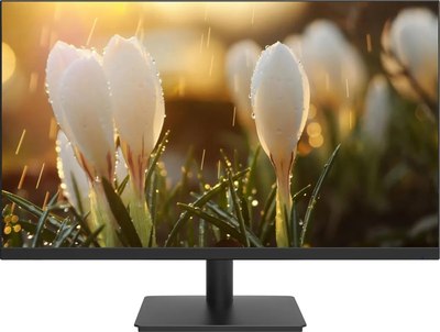 Монитор Dahua DHI-LM24-A201H - 
