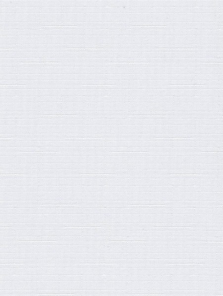 Рулонная штора Delfa Сантайм Лен СРШ-01 МЭД2800 (73x160, белый)