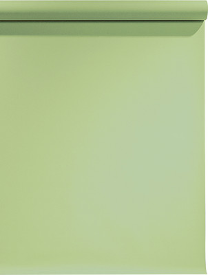 

Фон бумажный, SBP10 eisbp1013