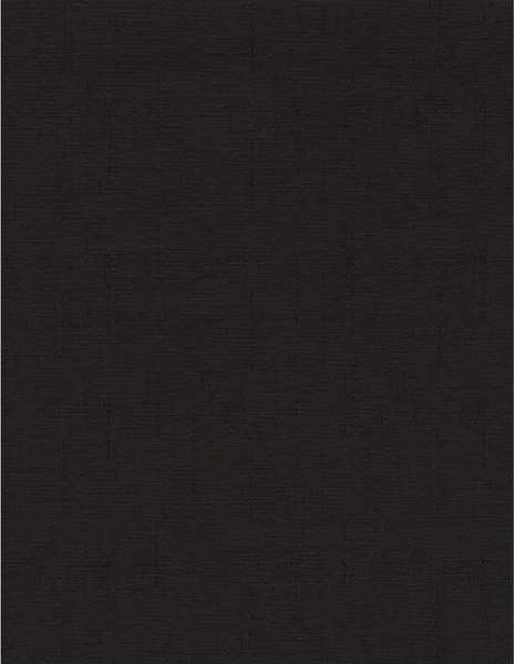Рулонная штора Delfa Сантайм Лен СРШ-01 МЭД2681 (73x160, черный)