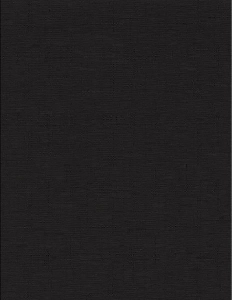 Рулонная штора Delfa Сантайм Лен СРШ-01 МЭД2681 (81x160, черный)