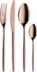 Набор столовых приборов Pinti Inox Olivia Copper 14H0S091 (24пр) - 