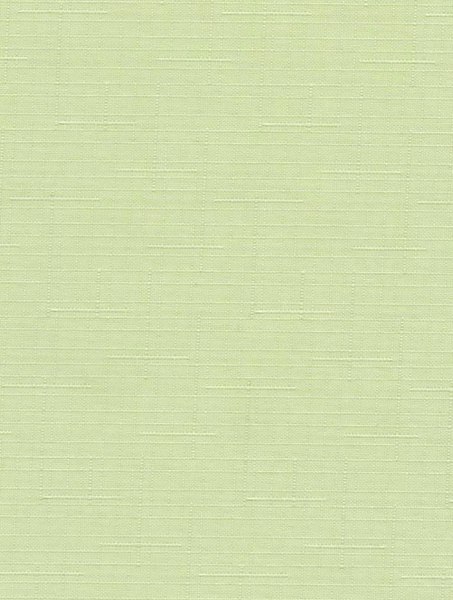 Рулонная штора Delfa Сантайм Лен СРШ-01 МЭД2468 (62x160, салатовый)