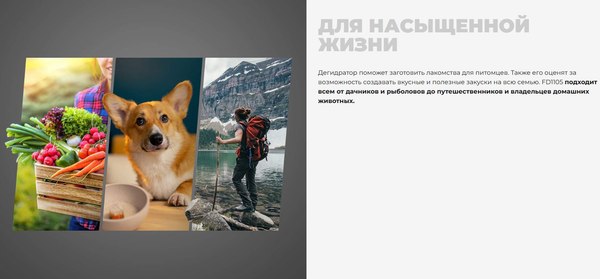 Сушильный шкаф для овощей и фруктов Redmond FD1105 (бежевый)