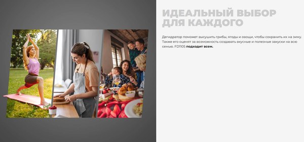 Сушильный шкаф для овощей и фруктов Redmond FD1105 (бежевый)