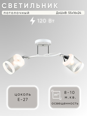 Спот Aitin-Pro НПБ 02-2x60-101 / N6211/2 (белый/хром) -