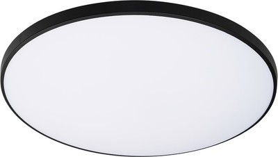 Потолочный светильник JAZZway PPB OPAL 48W 6500K BL IP20 / 5061002 - 