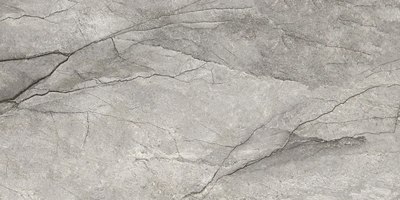 Плитка Delacora Oregon Gray D12050M (1200x600) - 