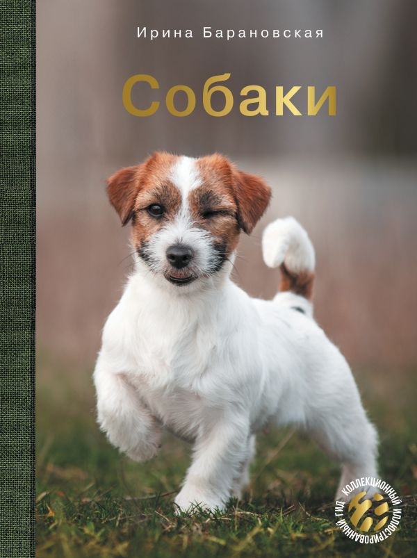 Нехудожественная книга АСТ Собаки, твердая обложка (Барановская Ирина, Вайткене Любовь, Хомич Елена)