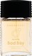 Туалетная вода с феромонами Delta Parfum Lovelas Bad Boy (100мл) - 