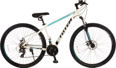 Велосипед TOTEM W860-29MDA / W86029MD19WT-AL (разобранный, в коробке) - 