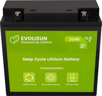 Аккумуляторная батарея EVOLISUN LiFePO4 12.8V 30A (30 А/ч) - 