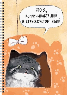 Тетрадь Listoff Стрессоустойчивый / ТПС4605298 - 