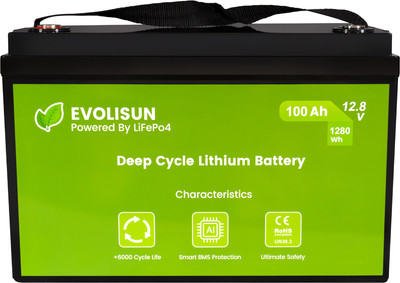 Аккумуляторная батарея EVOLISUN LiFePO4 12.8V 100A (100 А/ч) - 
